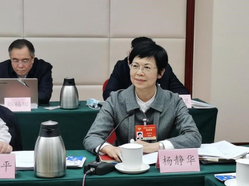 全国政协委员、广西壮族自治区人大常委会副主任、民进广西区委主委杨静华  区捷 摄