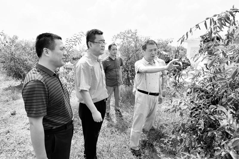 脚下沾满泥土　心中沉淀真情