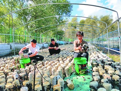 中国高校扶贫掠影：天地间，有大课堂有大舞台