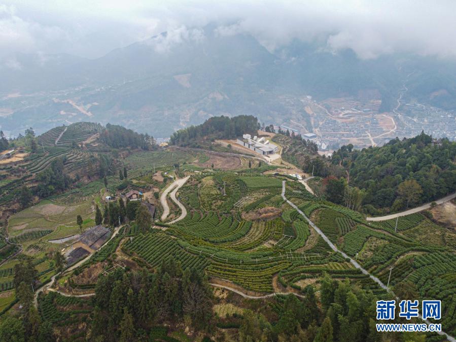   唱起畲歌颂党恩：生活很甜，希望更美 