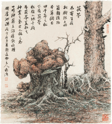 茯-苓-董希源