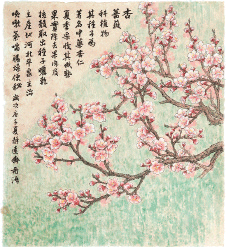 杏-董希源