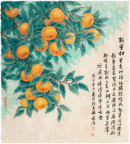 新会柑-董希源