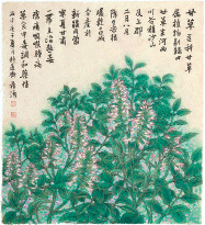 甘-草-董希源