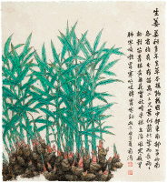 生-姜-董希源