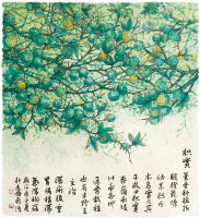 枳-实-董希源