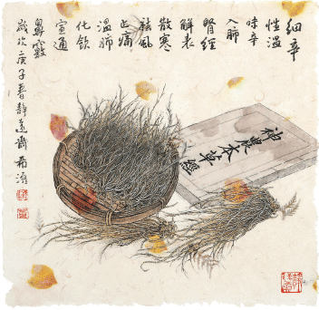 细-辛-董希源