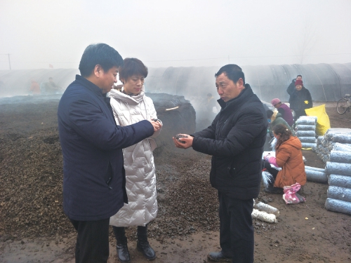 苗银德：蘑菇棚里天地宽