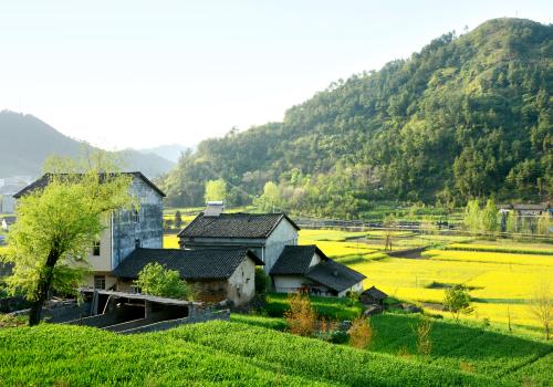 农村宅基地执法监管体系亟待理顺