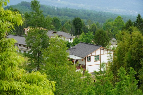 崭新的王坪新村掩映在郁郁葱葱的树林中