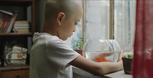 《骄阳》剧照.jpg2