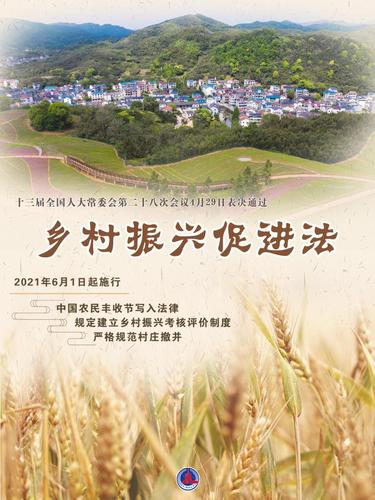 乡村振兴3