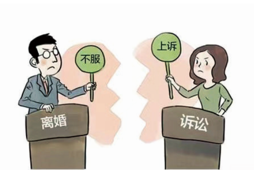 无性婚姻终结，人工授精的孩子归谁？