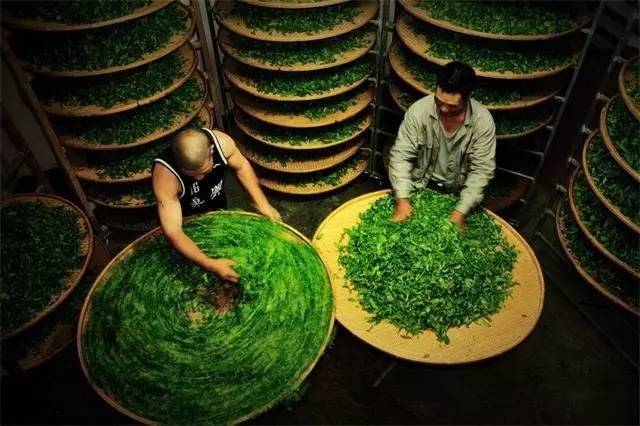 茶界非遗风景这边正好