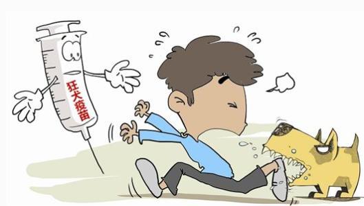 摸清神经嗜性病原入侵路径 助力人畜共患病源头防控