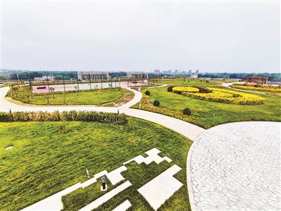位于郭公庄公交场站顶层的“空中花园”别有洞天