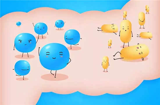 竟能对付这些病 益生菌你吃对了吗