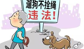 一案一说 | 行人被宠物狗惊吓摔倒，狗主人要担责吗？