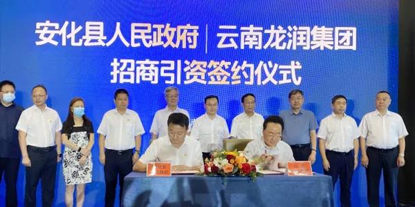 湘滇共绘中国黑茶振兴乡村新蓝本