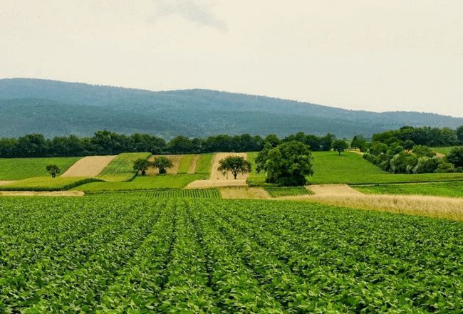 新《土地管理法实施条例》来了 