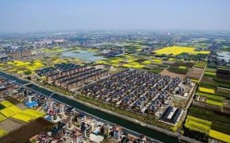 助农解困“贷”来新活力 