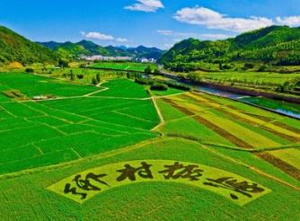 乡村与美丽同行 