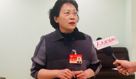 全国政协常委甄贞：树立崇尚法治、遵守法律的社会风尚