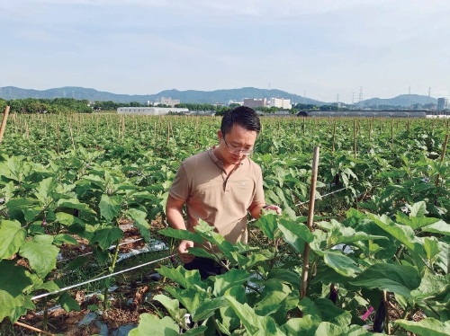 许朋飞：选对品种　打通三产