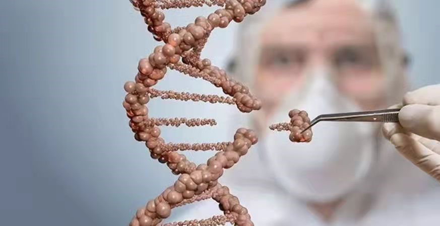 ​科研伦理：科学技术的安全阀