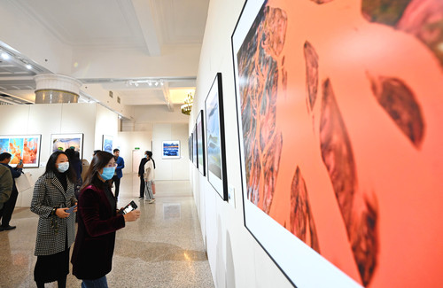 DSC_4429(632632)-20211025143953