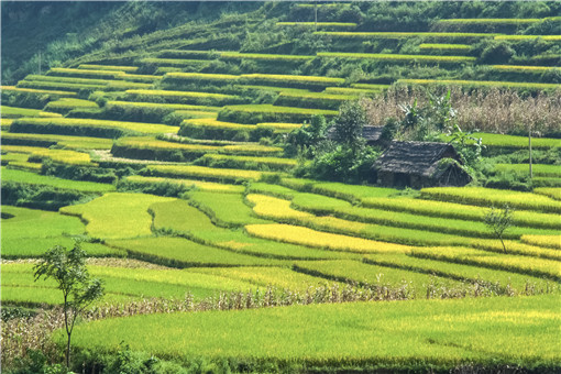 试点农村土地承包改革破解农地碎片化耕种问题