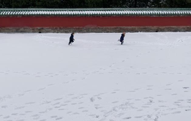 雪中奔跑