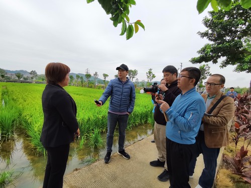 “乡村振兴 委员行动”主题采访组在广西柳州市柳南区田间地头采访 潘柯君 摄