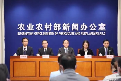 图说：11月4日， 农业农村部举行新闻发布会，介绍今冬明春重要农产品生产保供情况。会上有关负责人介绍说，我国粮食产量丰、库存足，供给完全有保障。