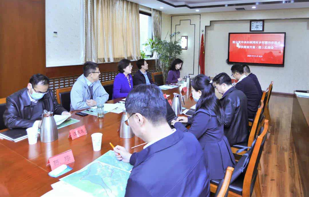 吕彩霞出席“致公党中央杉树湾村乡村振兴示范点帮扶规划方案汇报会”