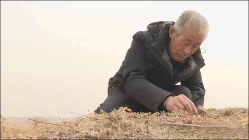 微信图片_20211128170111