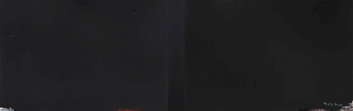 纪念2020（布面丙烯）200×640cm-2020年-谭-平