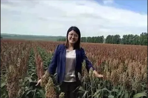 微信截图_20211202132738