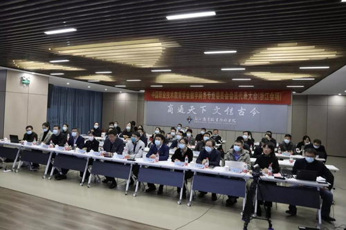 图片4