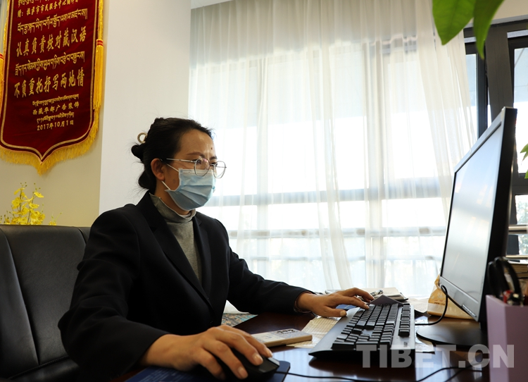 西藏拉萨：大力推进藏语文社会用字规范化