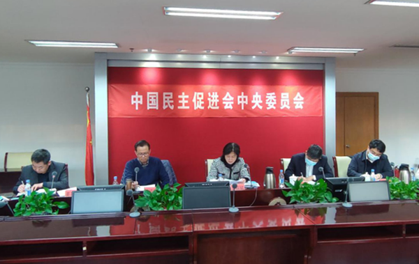 庞丽娟出席民进中央教育委员会主任扩大会议