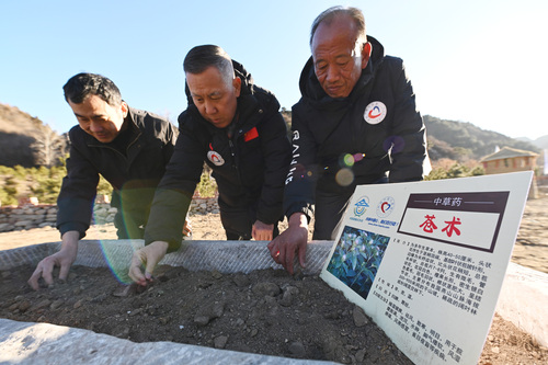 首都医疗专家现场查看中药材种植情况(774815)-20220107084116