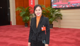 斯琴塔娜委员：建议加强内蒙古古代壁画保护