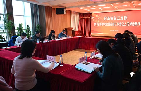 民革连云港市委会机关三支部召开年终总结会
