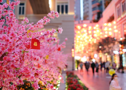 （港澳台·图文互动）（6）香港市民在抗疫(837894)-20220210052801