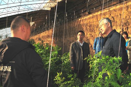统战图片——助推乡村振兴 (841602)-20220211122403_爱奇艺