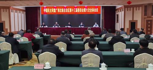 民盟广西区十三届六次全会
