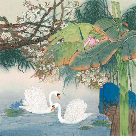 天-鹅-170×170cm--薛-亮
