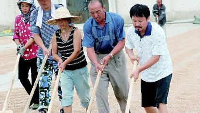 “本色”委员董配永的土地情结
