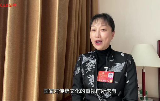 【委员出镜】国风来袭！看看委员们都咋追？